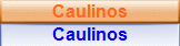 Caulinos