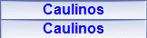 Caulinos